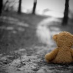 Accident in familie. Peste 200.000 Euro Despăgubiri pentru Familia îndurerată, în urma unui Tragic Accident Rutier
