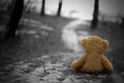 Accident in familie. Peste 200.000 Euro Despăgubiri pentru Familia îndurerată, în urma unui Tragic Accident Rutier